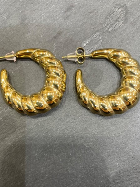 Ismini gold earrings.....Romina exclusive 
