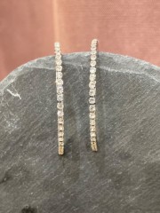 Paris silver earrings.......Romina exclusive